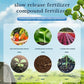 🔥2025 Hot Sale 54%OFF 🌞Home Gardening Universal Slow-Release Tablette Bio-Dünger