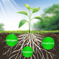 🌱 Blühende Pflanzen, ganz natürlich und mühelos – 🔔 Verbessern Sie sofort Ihre Pflanzen und sparen Sie 60 %! 🌱