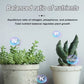 2025 Blumen glücklich machen – ganz ohne Aufwand!Bio-Dünger Tabletten | Langzeitwirkung für üppige Pflanzen | 50% Rabatt 🌱