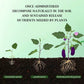 🔥2025 Hot Sale 54%OFF 🌞Home Gardening Universal Slow-Release Tablette Bio-Dünger