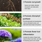 2025 Blumen glücklich machen – ganz ohne Aufwand!Bio-Dünger Tabletten | Langzeitwirkung für üppige Pflanzen | 50% Rabatt 🌱