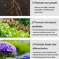 🔥2025 Hot Sale 54%OFF 🌞Home Gardening Universal Slow-Release Tablette Bio-Dünger