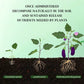 2025 Blumen glücklich machen – ganz ohne Aufwand!Bio-Dünger Tabletten | Langzeitwirkung für üppige Pflanzen | 50% Rabatt 🌱