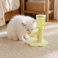 🐱 LIMITED TIME 50% OFF! Adjustable Neck-Care Cat Water Fountain – 3-Level Height Adjustable, Anti-Slip & Auto Refill Flow ✨