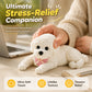 ⏰ Cute Squishy Teddy Dog Stress Relief Toy – Soft, Squeezable & Adorable 🐾🧸