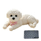 ⏰ Cute Squishy Teddy Dog Stress Relief Toy – Soft, Squeezable & Adorable 🐾🧸