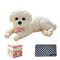⏰ Cute Squishy Teddy Dog Stress Relief Toy – Soft, Squeezable & Adorable 🐾🧸