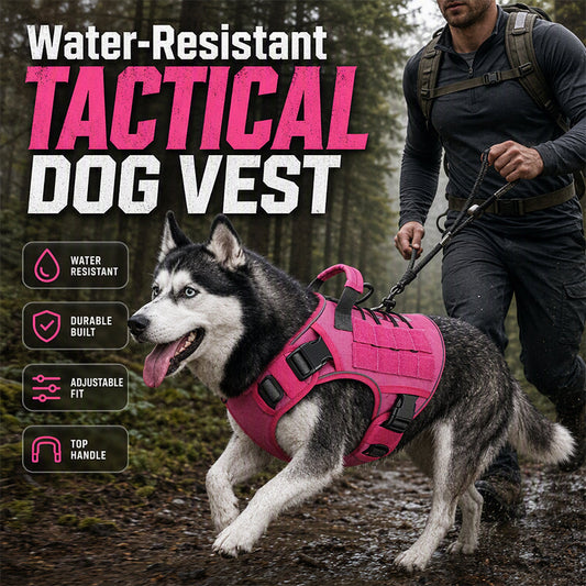💥 Durable Oxford Fabric Dog Harness Vest – Safe, Adjustable, Comfortable 🥾✨