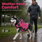 💥 Durable Oxford Fabric Dog Harness Vest – Safe, Adjustable, Comfortable 🥾✨