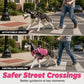 💥 Durable Oxford Fabric Dog Harness Vest – Safe, Adjustable, Comfortable 🥾✨
