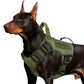 💥 Durable Oxford Fabric Dog Harness Vest – Safe, Adjustable, Comfortable 🥾✨
