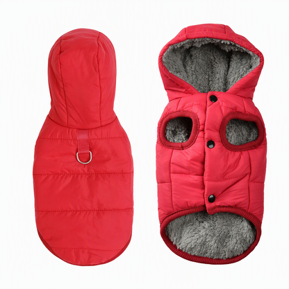 ✨ Hooded Dog Coat – Fleece-Lined & Windproof 🧥🐶