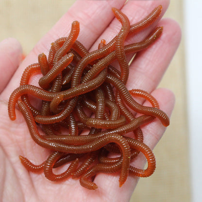 ⏳Limited-time 50% off⏰Simulation Earthworm Soft Fishing Lures🎣🪱