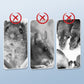 🐀 Reusable Rat Trap with High-Sensitive Trigger – Easy & Effective Rodent Control ✨