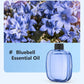 🌸 Automatic Aromatherapy Diffuser – Fresh Fragrance, Relaxing Atmosphere 🎁✨