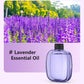 🌸 Automatic Aromatherapy Diffuser – Fresh Fragrance, Relaxing Atmosphere 🎁✨