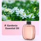 🌸 Automatic Aromatherapy Diffuser – Fresh Fragrance, Relaxing Atmosphere 🎁✨