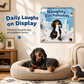 ⏰ Naughty Dachshunds Dog Wall Calendar – Fun & Adorable Home Decor 🐶📅