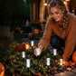 ☀️ Solar Powered Pathway Stake Light – Automatic on/off, weatherproof & warm glow – Perfect for garden paths & driveways 🌿