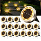 💥 Outdoor Garden Solar Ground Lights – 4 Pack ☀️🌿✨